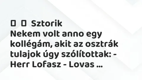 Vicces történet: 
	    	    Sztorik


Nekem volt anno egy kollégám, akit az osztrák…