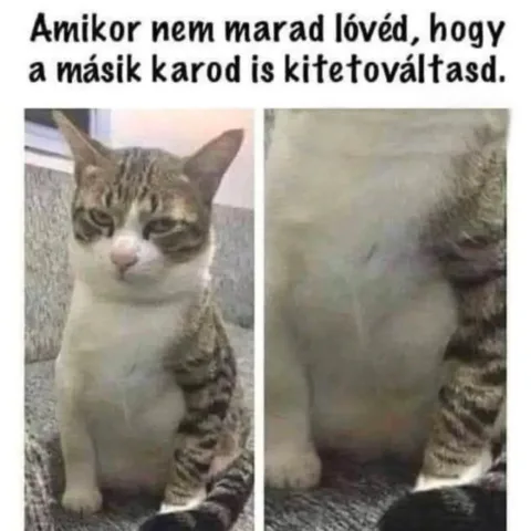 #VK1770607933
