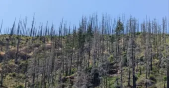 Rejtvény: Csak a „mesterlövész-szemű” emberek képesek megtalálni az autót ezen Rejtvény: Csak a „mesterlövész-szemű” emberek képesek megtalálni az autót ezen a…