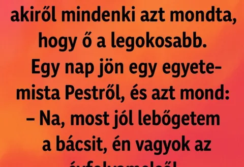 A Falu Legbölcsebb Embere