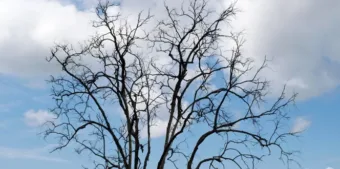 Akár 18 fok is lehet – holnapi időjárás február 28-án