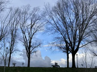 Enyhe levegő, kopár fák – holnapi időjárás március 1.