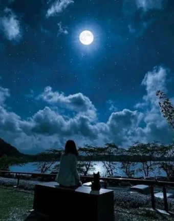 „Hagyj a szívedben egy pici csodát az elképzelhetetlennek!”
 #I1770666068