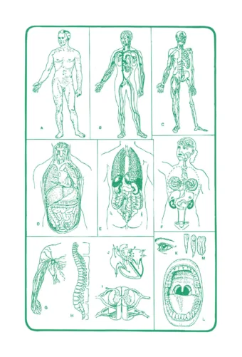 Kvíz: Ha érzed, mi történik benned, jó úton jársz