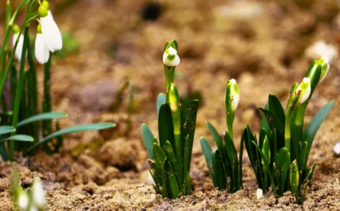 Tavaszias csúcsok, záporos idő – ilyen lesz február 27. időjárása