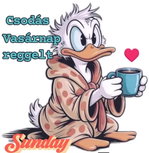 #VK1769928243 #VK1769928243