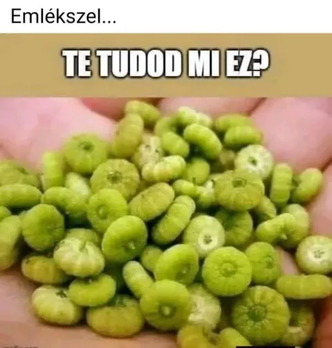 #VK1770029460