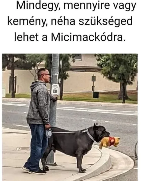 #VK1770195836