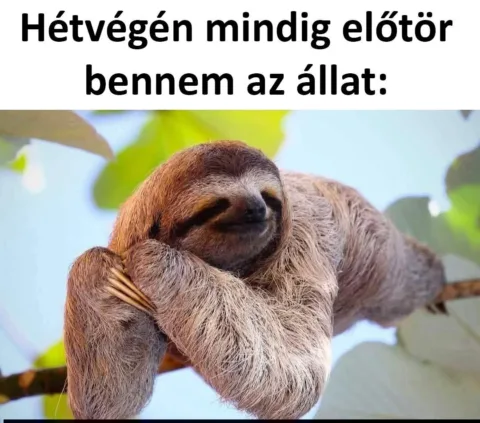 #VK1770558553 #VK1770558553