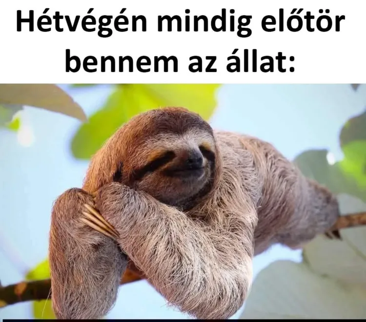 #VK1770558553 #VK1770558553
