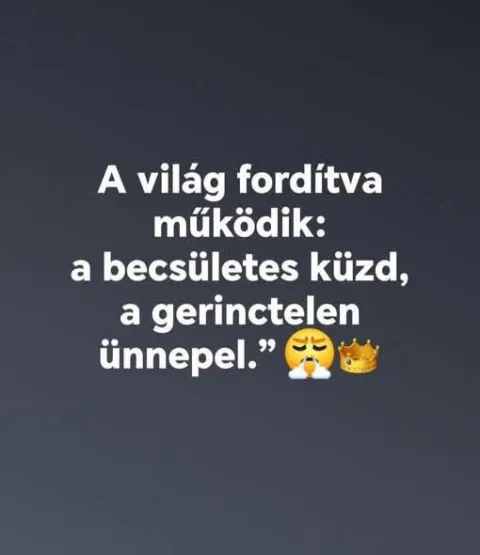 #VK1770617506