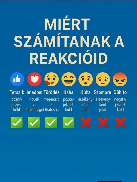 #VK1770701197