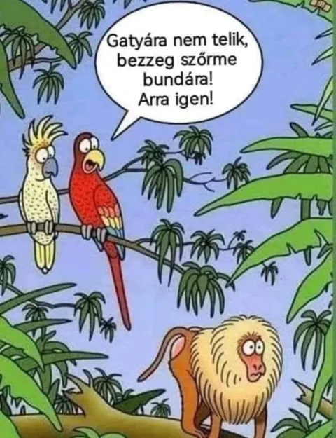 #VK1770737340