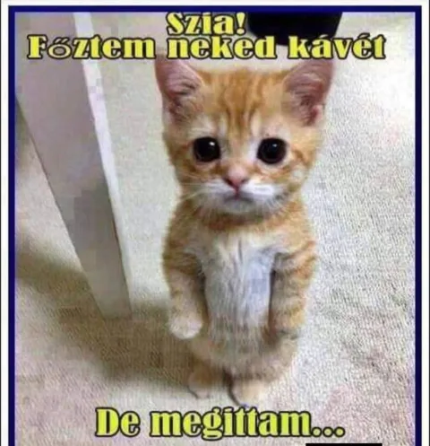 #VK1770766841