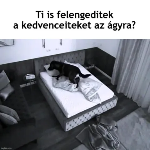 #VK1770810292