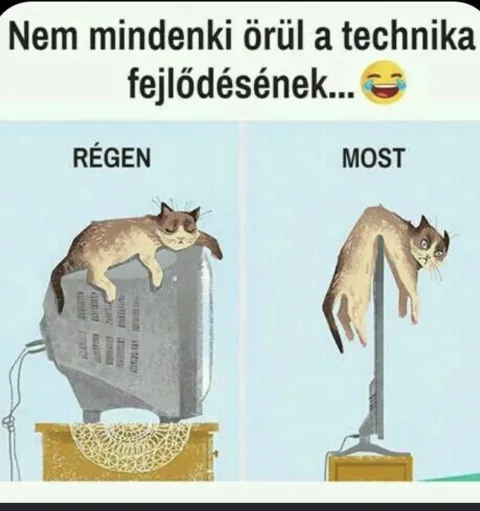#VK1770912975
