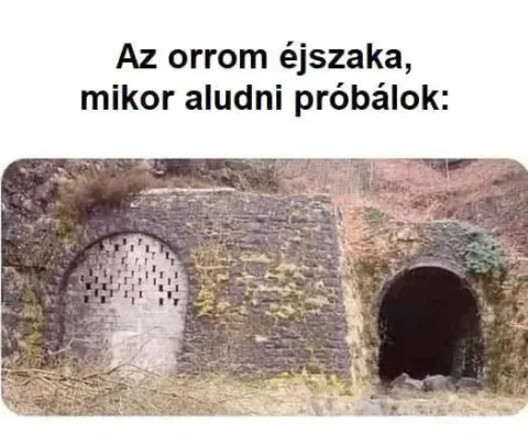 #VK1770939207