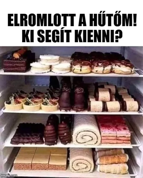 #VK1771098693