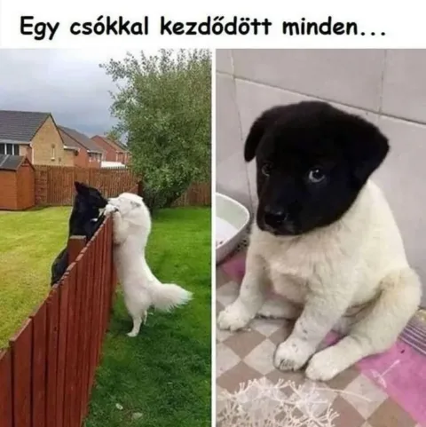 #VK1771244066