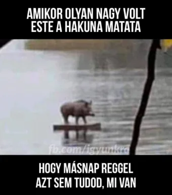 #VK1771246274 #VK1771246274