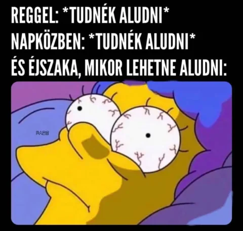 #VK1771286494