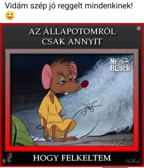 #VK1771303059