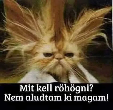 #VK1771390089 #VK1771390089