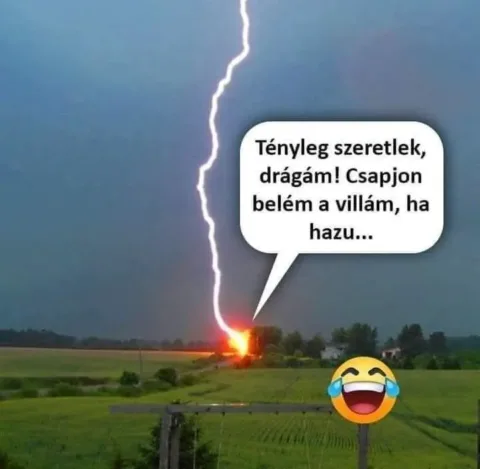 #VK1771436544