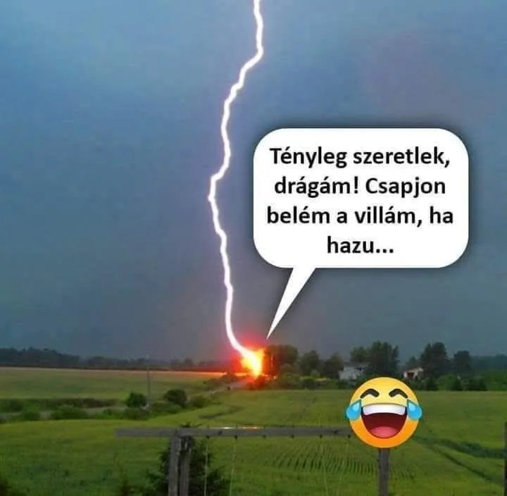 #VK1771436544 #VK1771436544