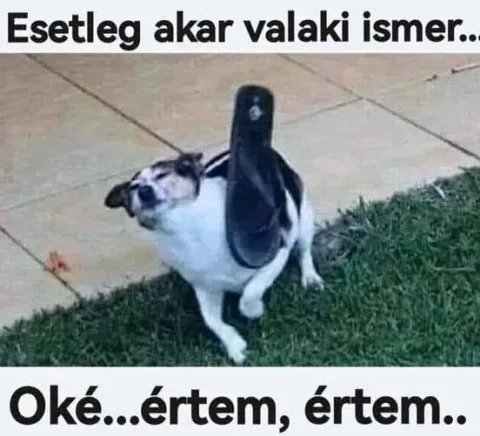 #VK1771449661