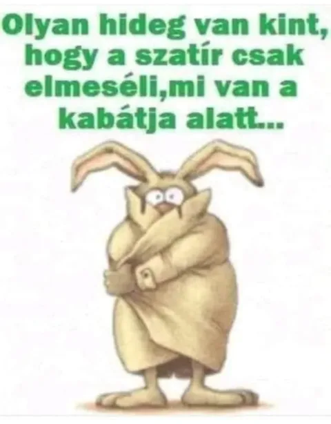 #VK1771518995