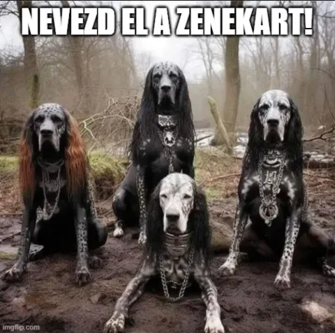 #VK1771531901