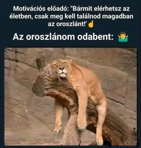 #VK1771578904