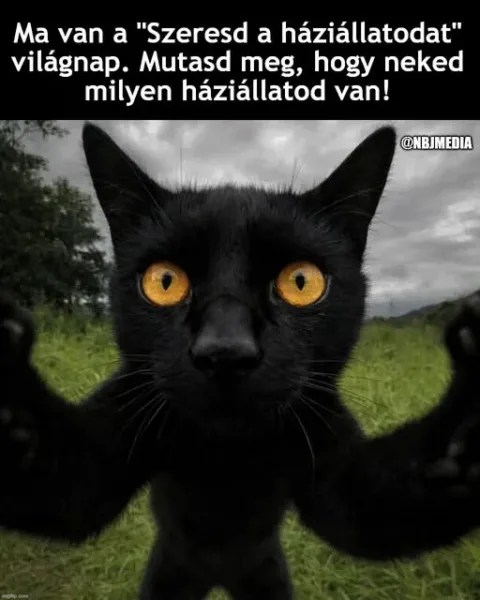 #VK1771588431