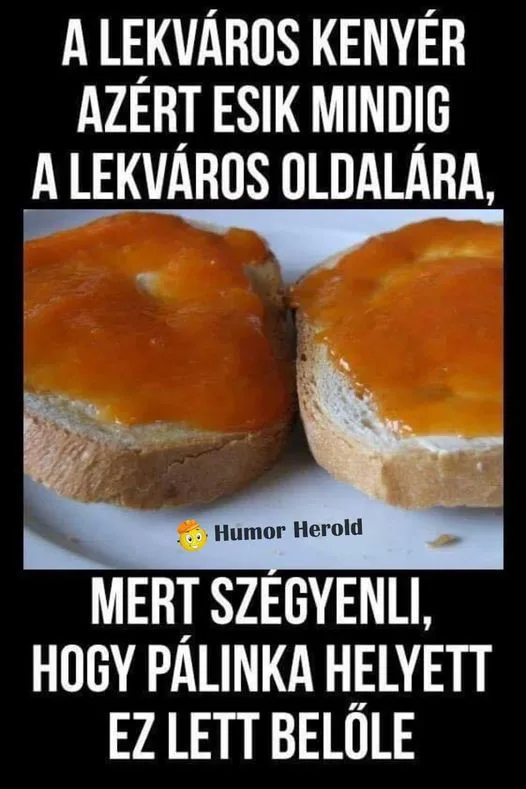 A lekváros kenyér azért esik mindig a lekváros oldalára... A lekváros kenyér azért esik mindig a lekváros oldalára...