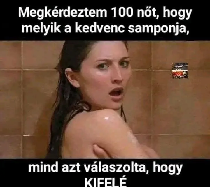 Megkérdeztem 100 nőt, hogy melyik a kedvenc samponja... Megkérdeztem 100 nőt, hogy melyik a kedvenc samponja...