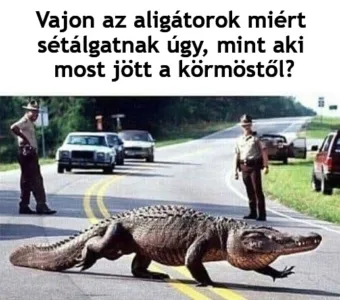 #VK1771844379 #VK1771844379