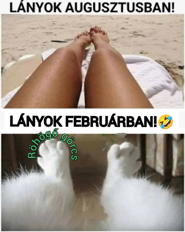 #VK1771851541 #VK1771851541