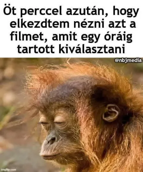 #VK1771915905