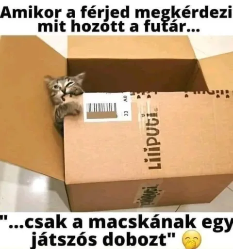#VK1771944890