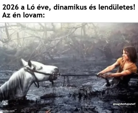 #VK1772013773
