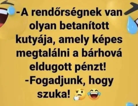 #VK1772092505