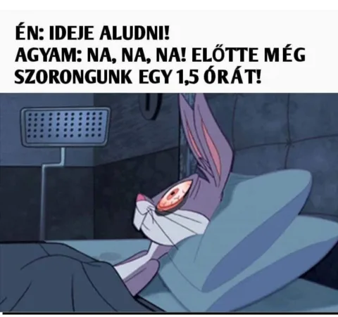 #VK1772134888
