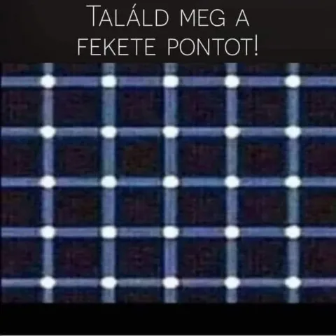 #VK1772164258