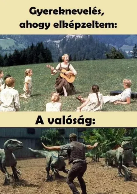 #VK1772180102