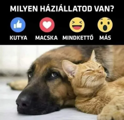 #VK1772200076
