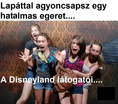 #VK1772258806