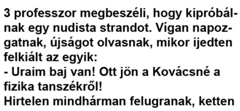 Vicc: 3 professzor megbeszéli