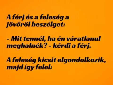 Vicc: A férj és a feleség a jövőről beszélget - Vicc: A férj és a feleség a jövőről beszélget –