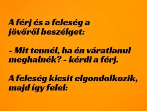 Vicc: A férj és a feleség a jövőről beszélget –